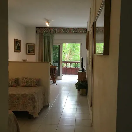 Calle Acevino Apartment Puerto de la Cruz (Tenerife)